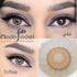 products/phonto-5.jpg